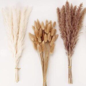 🌸3/$15🌸 Dried Pampas Grass Decor
